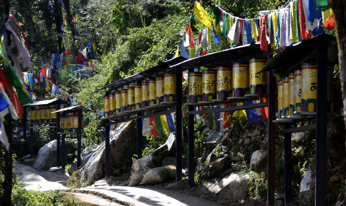 khora sotto il namgyal monastery a mc leod