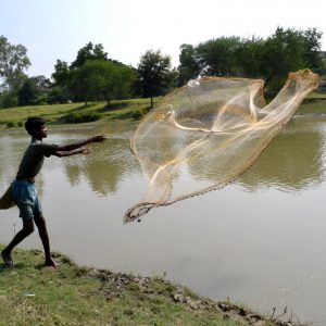 pesca fluviale vicino a baruipur in india