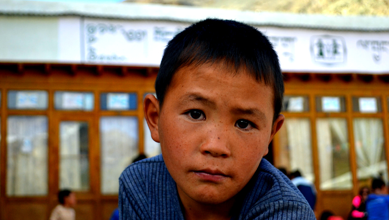bimbo tibetano al tibetan children village in ladakh