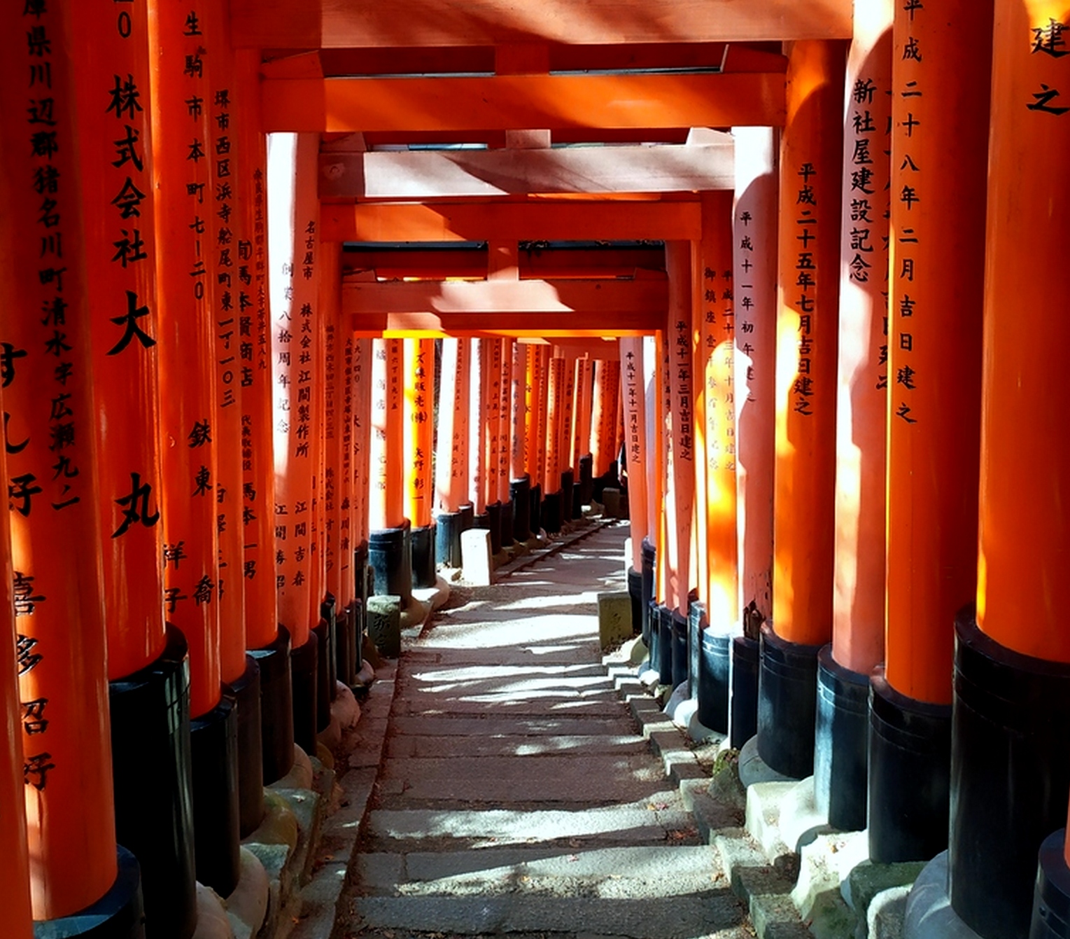 Fushimi Inari importante santuario shintoista di Kyoto che si visita con ramviaggi